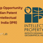 Internship Opportunity at the Indian Patent Office Intellectual Property India (IPR)