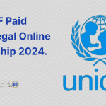 UNICEF Paid Media Engagement Law/Legal Online Internship 2024
