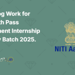 Niti Aayog Work for India, 12th Pass Government Internship February Batch 2025.